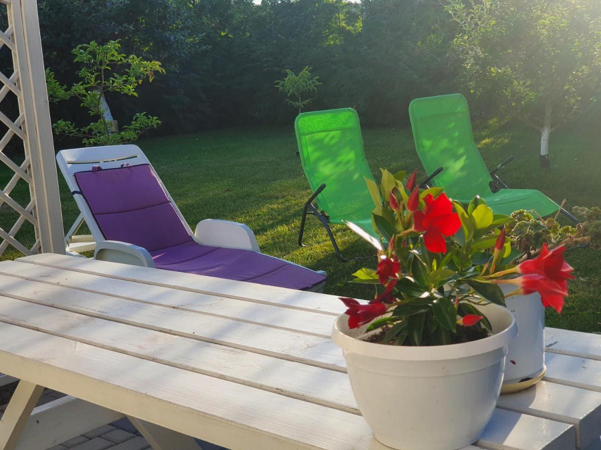 Apartament Nad Jeziorem Welle Колчево Экстерьер фото